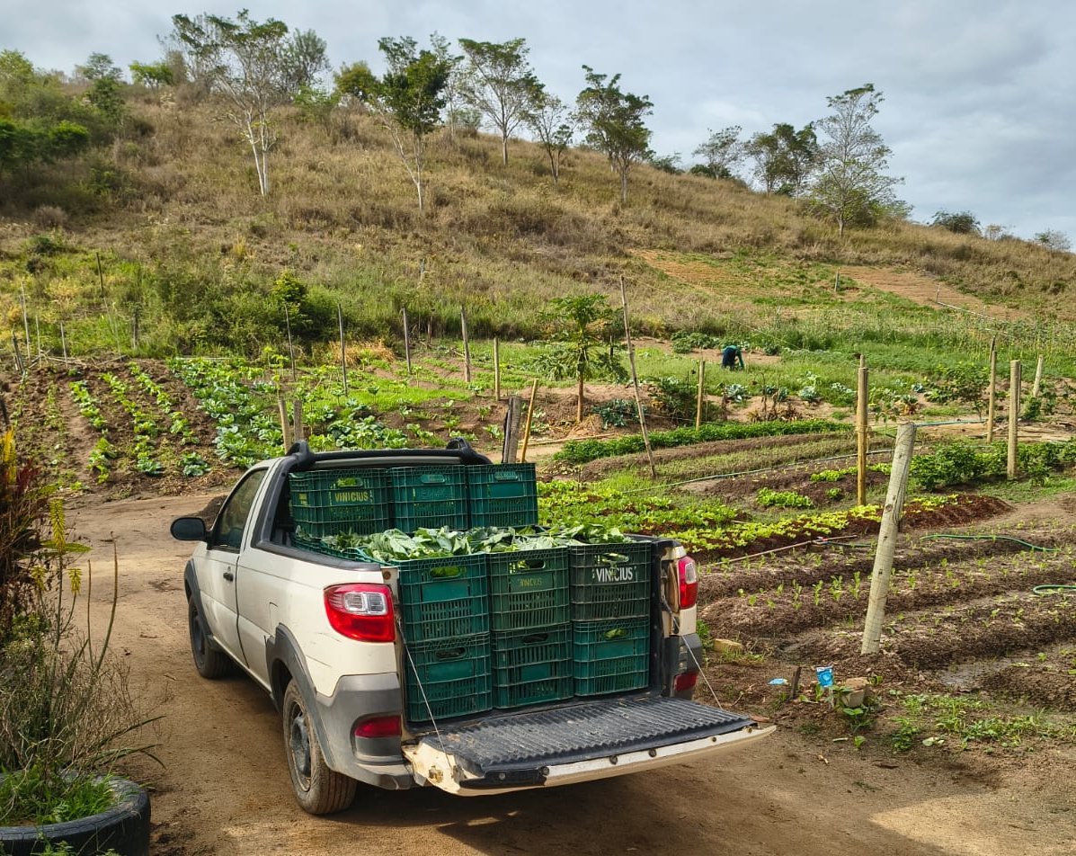 Imagem da notícia: Hortão Municipal mantém distribuição gratuita de alimentos para instituições sociais